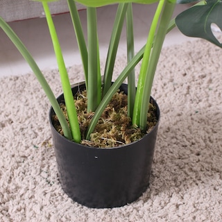 Foto 2 | Foto 2 | Planta Artificial Jauz Monstera 65 cm