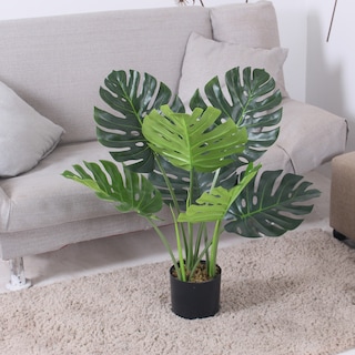 Foto 3 | Foto 3 | Planta Artificial Jauz Monstera 65 cm