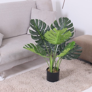 Foto 4 | Foto 4 | Planta Artificial Jauz Monstera 65 cm