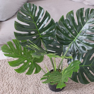 Foto 5 | Foto 5 | Planta Artificial Jauz Monstera 65 cm