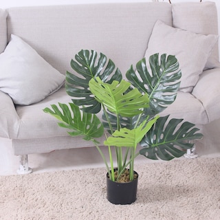 Foto 6 | Foto 6 | Planta Artificial Jauz Monstera 65 cm