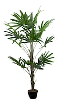 Planta Artificial de Plástico Tipo Palma 150cm Jauz Improvement Set 4pz