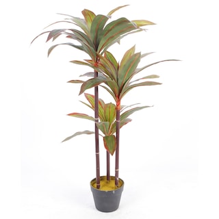 Foto 1 | Foto 1 | Planta Decorativa Dracaena Verde Con Maceta Negra