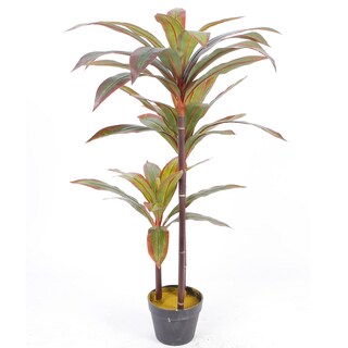 Foto 2 | Foto 2 | Planta Decorativa Dracaena Verde Con Maceta Negra