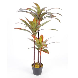 Foto 3 | Foto 3 | Planta Decorativa Dracaena Verde Con Maceta Negra