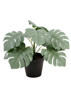 Foto 1 | Foto 1 | Planta Decorativa Monstera Verde Y Blanco Con Maceta Negra