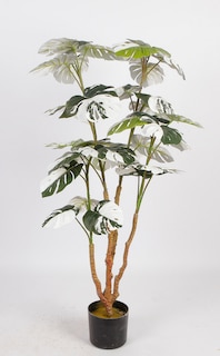 Foto 2 | Foto 2 | Planta Decorativa Monstera Verde Y Blanco Con Maceta Negra