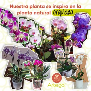 Foto 4 | Foto 4 | Planta Artificial Moderna Con Maceta Decorativa Real Style Orquídea Compacta Pack De 2 Unidades De 40cm De Alto
