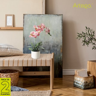 Foto 7 | Foto 7 | Planta Artificial Moderna Con Maceta Decorativa Real Style Orquídea Compacta Pack De 2 Unidades De 40cm De Alto