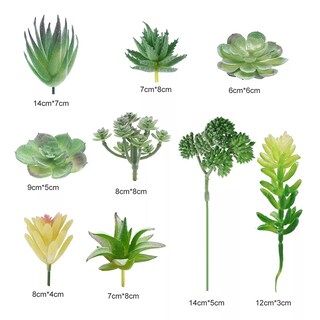 Foto 2 | Foto 2 | Plantas Artificiales Flores Suculentas 21 Pcs Decoración Eo Safe Imports Esi-17578 Multicolor
