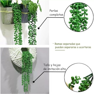 Foto 2 | Foto 2 | Plantas Artificiales De Perlas Suculentas Colgantes De 4 Pzs Eo Safe Imports Esi-17579 Verde
