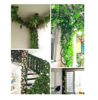 Foto 3 | Foto 3 | Enredaderas Artificiales Belug Plantas Colgantes Decorativas 24pz