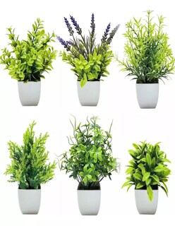 Foto 2 | Foto 2 | Plantas Artificiales Decorativas En Macetas Verdes + Termo De Agua De Regalo Güish