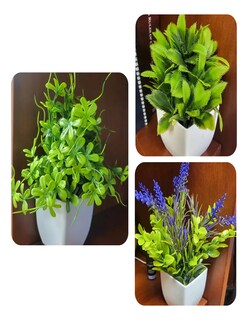 Foto 4 | Foto 4 | Plantas Artificiales Decorativas En Macetas Verdes + Termo De Agua De Regalo Güish