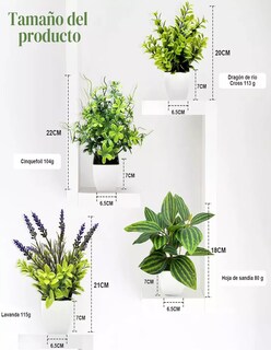 Foto 4 | Foto 4 | Macetas Plantas Artificiales Barro Decoración + Termo De Agua De Regalo Güish