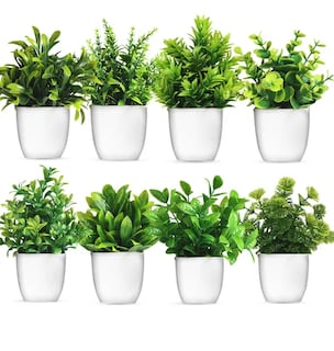 Foto 1 | Foto 1 | 8 Xtellar Piezas Plantas Artificiales Macetas Decorativas Bonsai