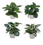 4 Xtellar Macetas Plantas Artificiales Macetas Decorativas Bonsai