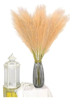 Foto 1 | Foto 1 | Título: Xtellar Plantas Pampas Decorativas Artificiales - Elegancia Y Durabilidad En Tu Decoración Beige Rojo