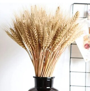 Foto 2 | Foto 2 | Exclusivo Ramo Xtellar De Trigo Natural Con 200 Espigas Para Decoración Elegante