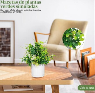 Foto 2 | Foto 2 | Xtellar Set De 4 Plantas Artificiales Premium Con Macetas - La Solución Perfecta Para Dar Elegancia A Tus Espacios
