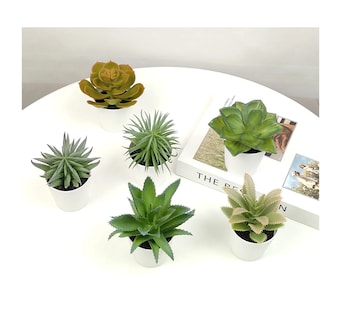 Foto 2 | Foto 2 | Plantas Suculentas Artificiales Macetas Decorativas Bonsai 6 Pzs