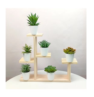 Foto 3 | Foto 3 | Plantas Suculentas Artificiales Macetas Decorativas Bonsai 6 Pzs