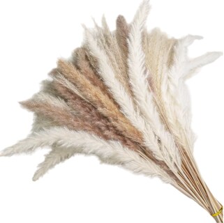 Foto 1 | Foto 1 | Pampas Secas 30pcs Plantas Decorativas Flores Artificiales 15blanco+15rojo 30pcs