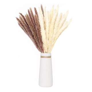 Foto 3 | Foto 3 | Pampas Secas 30pcs Plantas Decorativas Flores Artificiales 15blanco+15rojo 30pcs
