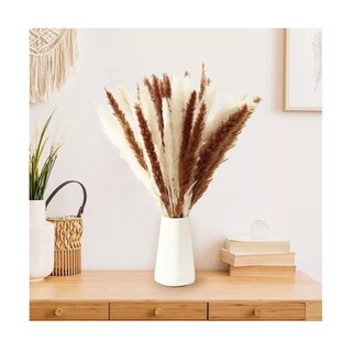 Foto 4 | Foto 4 | Pampas Secas 30pcs Plantas Decorativas Flores Artificiales 15blanco+15rojo 30pcs