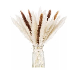 Foto 5 | Foto 5 | Pampas Secas 30pcs Plantas Decorativas Flores Artificiales 15blanco+15rojo 30pcs