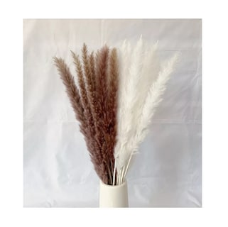 Foto 6 | Foto 6 | Pampas Secas 30pcs Plantas Decorativas Flores Artificiales 15blanco+15rojo 30pcs