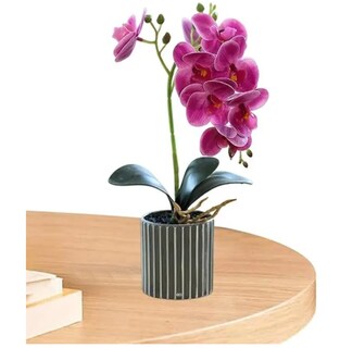 Foto 2 | Foto 2 | Arreglo Orquídeas Artificiales Decoración 43 Cm Eo Safe Imports Esi-19814 Purpura