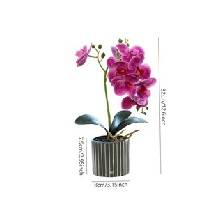 Foto 3 | Foto 3 | Arreglo Orquídeas Artificiales Decoración 43 Cm Eo Safe Imports Esi-19814 Purpura