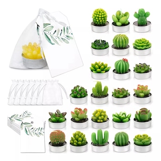 Foto 1 | Foto 1 | Velas Decorativas De Cactus Suculentas Con Bolsa Eo Safe Imports Esi-18140 Verde 24 Piezas