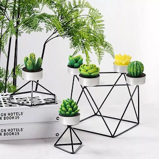 Foto 3 | Foto 3 | Velas Decorativas De Cactus Suculentas Con Bolsa Eo Safe Imports Esi-18140 Verde 24 Piezas