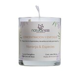 Vela Aromática Con Intención \"Concentración y enfoque\" , Cuarzo Energético, Plantas Decorativas-elaboradas Con Cera De Soya