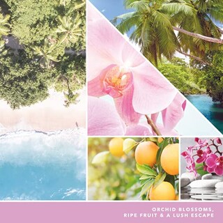 Foto 2 | Foto 2 | Venta Internacional-Vela Aromática Yankee Candle