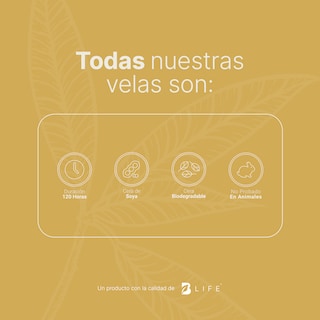 Foto 5 | Foto 5 | Vela De Soya Aromática | 600 G | Aroma Mango | Duración 120 Horas | Cera Para Masaje | Creamy Mango Aromatic Candle | B Life.