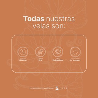 Foto 5 | Foto 5 | Vela de Soya Aromática B Life 600 G Aroma Pumpkin Spice Duración 120 Horas