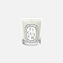 Cera De Parafina Aromática Verde Candle Diptyque Figuier, 150 G - Venta Internacional.