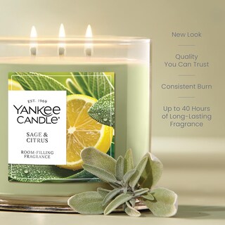 Foto 3 | Foto 3 | Candle Yankee Candle Tarro De 3 Mechas 40 Horas De Combustión Salvia Y Cítricos - Venta Internacional.