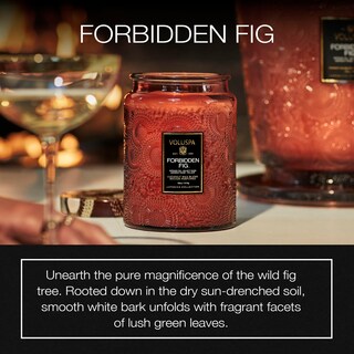 Foto 2 | Foto 2 | Candle Voluspa Forbidden Fig 532 Ml Cera De Coco 100 H De Combustión - Venta Internacional.