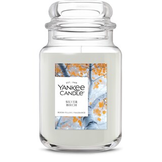 Foto 1 | Foto 1 | Candle Yankee Candle Silver Birch Con Aroma A Otoño 650 Ml - Venta Internacional.