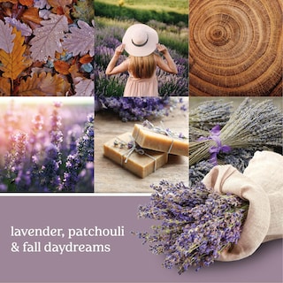 Foto 3 | Foto 3 | Recarga De Fragancia Yankee Candle Scentplug Lavanda Y Roble Secados - Venta Internacional.