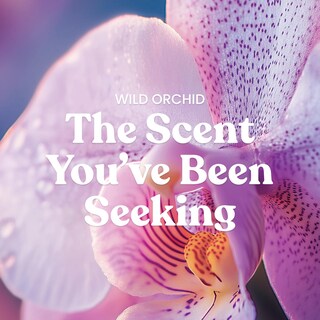 Foto 2 | Foto 2 | Vela Perfumada Yankee Candle Wild Orchid  650 Ml  Tarro Grande - Venta Internacional.