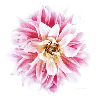 Foto 1 | Foto 1 | Cuadro Decorativo - Dahlia Rosa - Elise Catterall - Arte Moderno - Impresión En Lienzo - Fine Art Tj