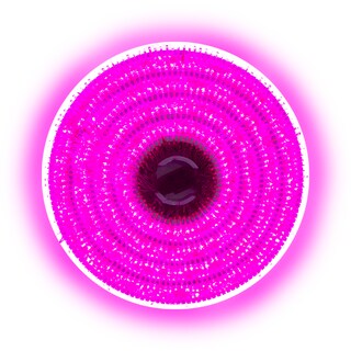 Foto 2 | Foto 2 | Serie Decorativa Importadora La Merced Paquete 12 Piezas Luz Led Rosa 500 Focos 8 Funciones Cable Rosa 25 m
