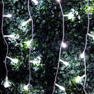 Foto 2 | Foto 2 | Serie Decorativa Importadora La Merced Paquete 3 Piezas Luz Led Blanca Fría 100 Focos 8.8 mm Cable Blanco 5 m