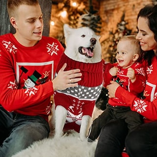 Foto 3 | Foto 3 | Suéteres Frienda Para Perros, Navidad, Halloween, Nieve, Pequeños, 4 Unidades - Venta Internacional.