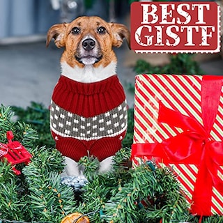 Foto 5 | Foto 5 | Suéteres Frienda Para Perros, Navidad, Halloween, Nieve, Pequeños, 4 Unidades - Venta Internacional.